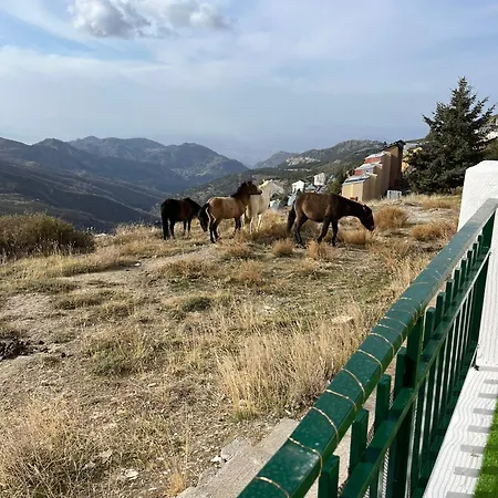 アパート The Snow Con Parking, Wifi Y Terraza *