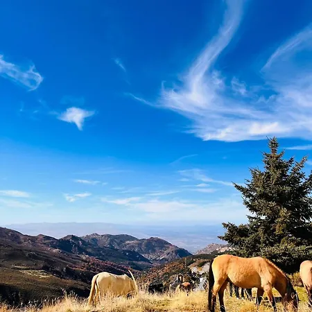 The Snow Con Parking, Wifi Y Terraza アパート