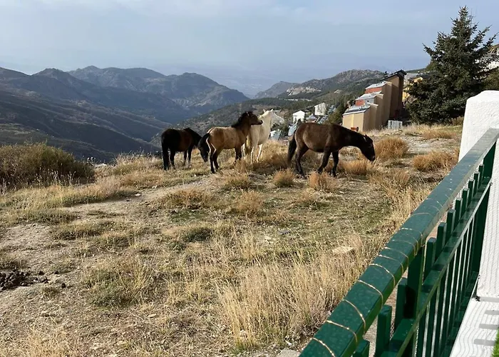 Apartamento The Snow Con Parking, Wifi Y Terraza *