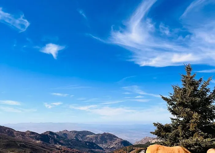 The Snow Con Parking, Wifi Y Terraza Apartamento